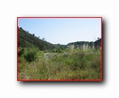 [Click to enlarge]